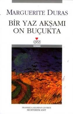 bir-yaz-aksami
