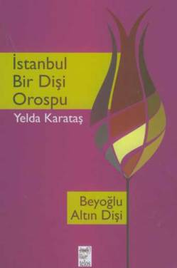 istanbul-bir-disi